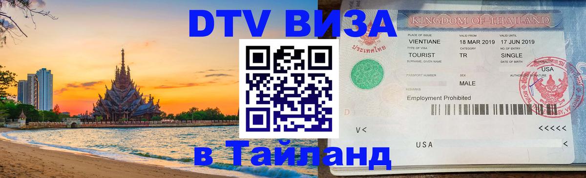 Сколько стоит DTV виза — актуальные цены, оформление даже без документов - Сана 